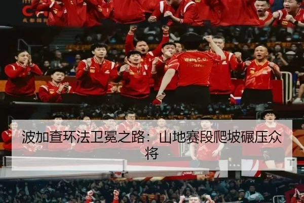 bo-jia-cha-huan-fa-wei-mian-zhi-lu-shan-di-sai-duan-pa-po-nian-ya-zhong-jiang-3-429.jpg