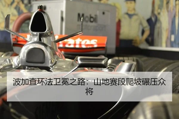 波加查环法卫冕之路：山地赛段爬坡碾压众将