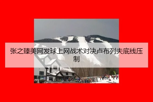 zhang-zhi-zhen-mei-wang-fa-qiu-shang-wang-zhan-shu-dui-jue-lu-bu-lie-fu-di-xian-ya-zhi-2-320.jpg
