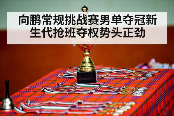向鹏常规挑战赛男单夺冠新生代抢班夺权势头正劲